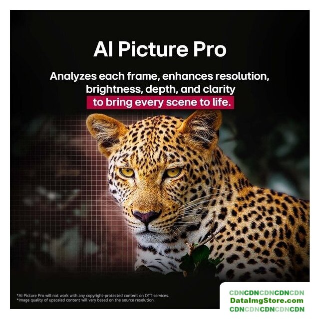 OLED телевизор LG OLED evo AI C5 OLED55C54LA - Изображение №9 — Интернет-магазин beznal24.by