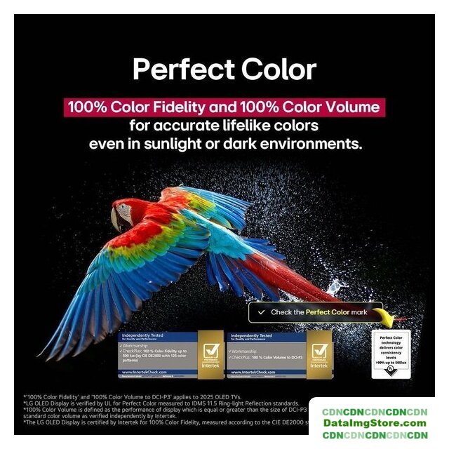 OLED телевизор LG OLED evo AI C5 OLED55C51LA - Изображение №8 — Интернет-магазин beznal24.by