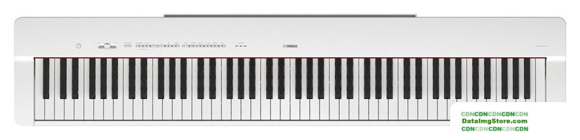 Цифровое пианино Yamaha P-225 (белый) - Изображение №1 — Интернет-магазин beznal24.by