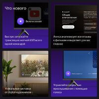 Телевизор Яндекс ТВ Станция Бейсик с Алисой 50 YNDX-00075 - Превью изображения №10 — Интернет-магазин beznal24.by